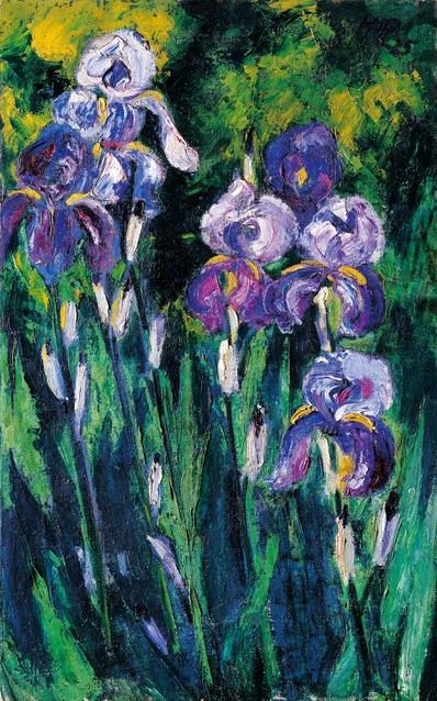 Irises in Evening Shadows (1925) - Max Pechstein Tablo