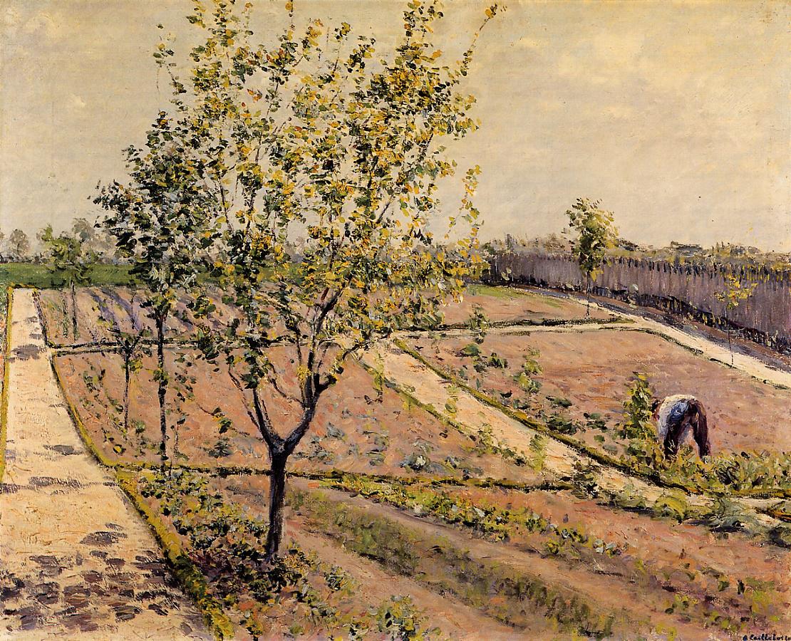 Kitchen Garden, Petit Gennevilliers (1882) - Gustave Caillebotte Tablo