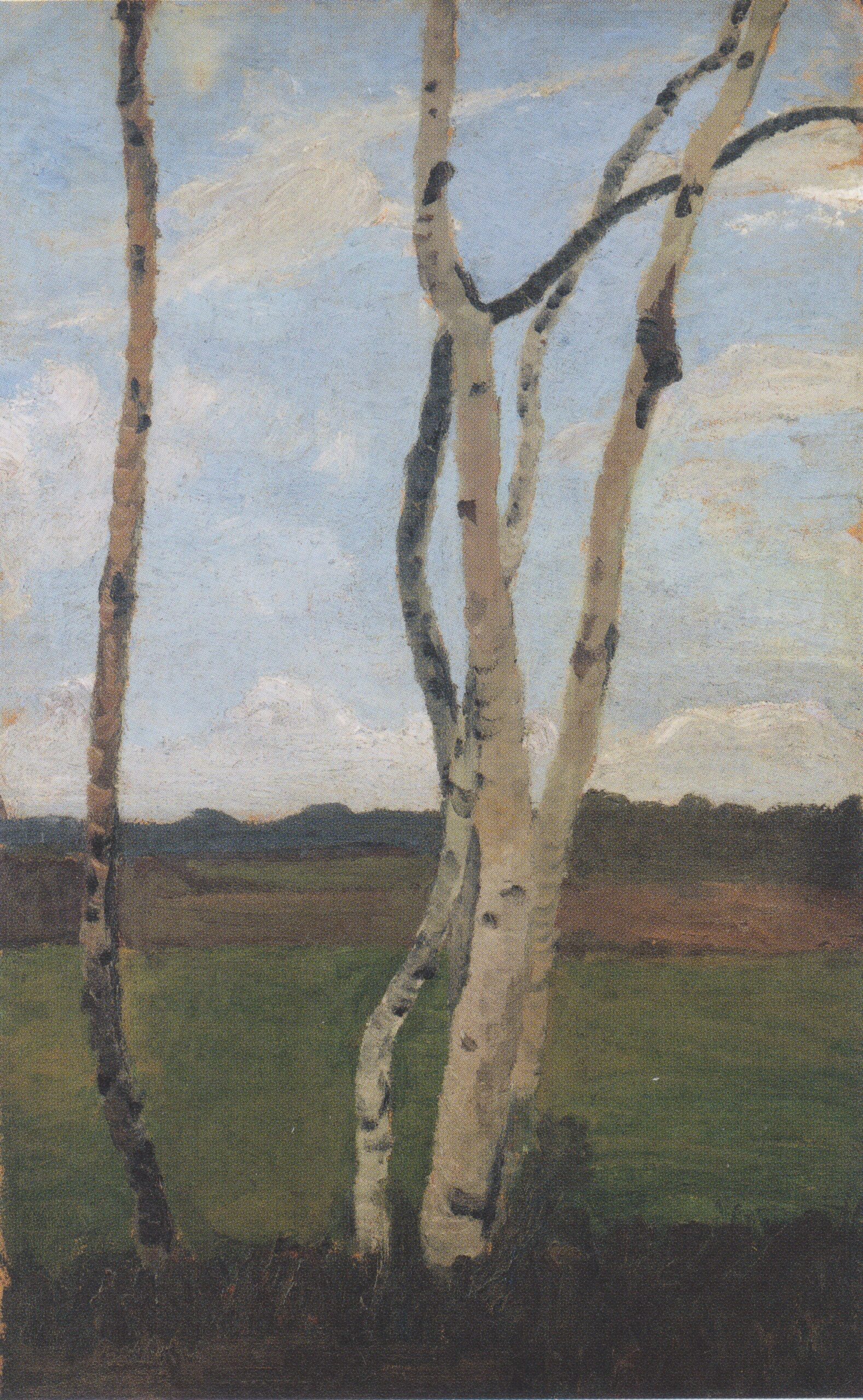 Landscape with Birch trunks (1901) - Paula Modersohn-Becker Tablo