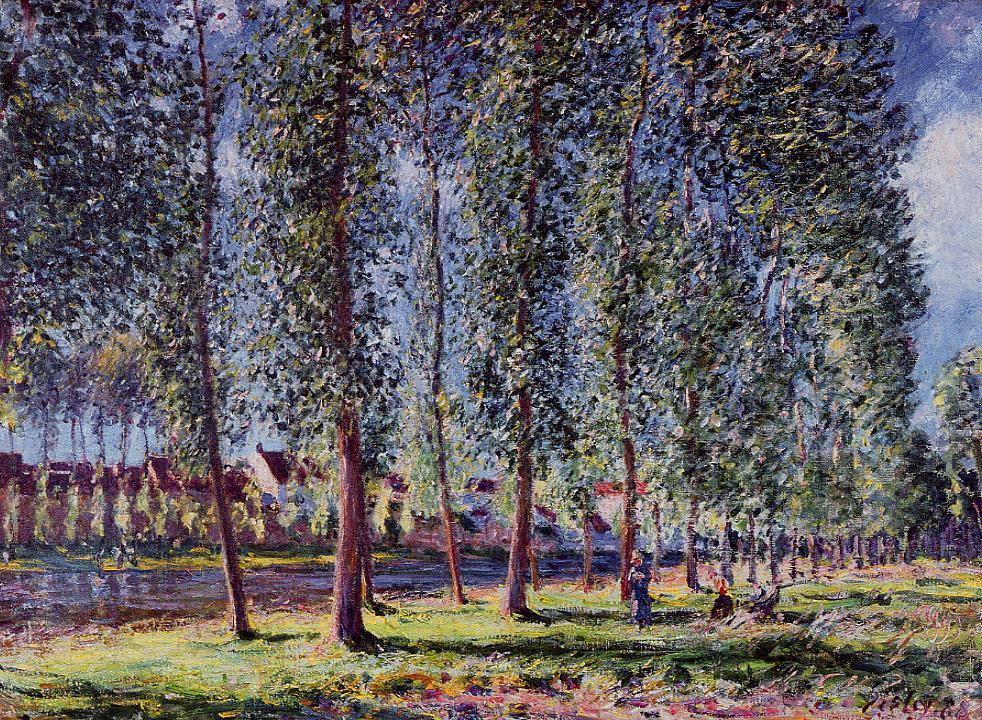 Lane of Poplars at Moret (1888) - Alfred Sisley Tablo