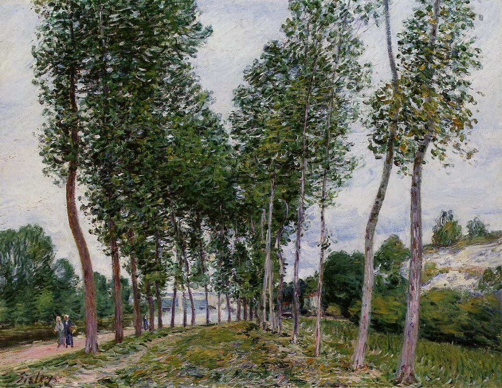 Lane of Poplars on the Banks of the Loing (1892) - Alfred Sisley Tablo