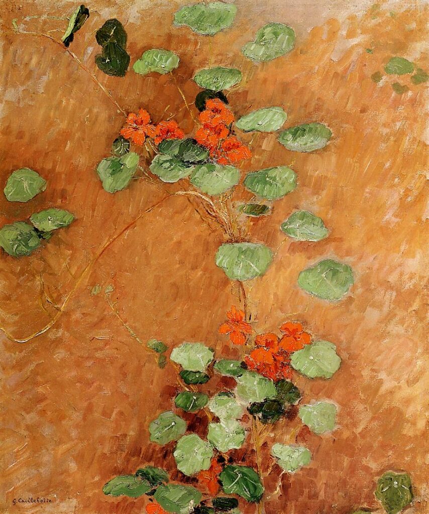 Nasturtiums (1892) - Gustave Caillebotte Tablo