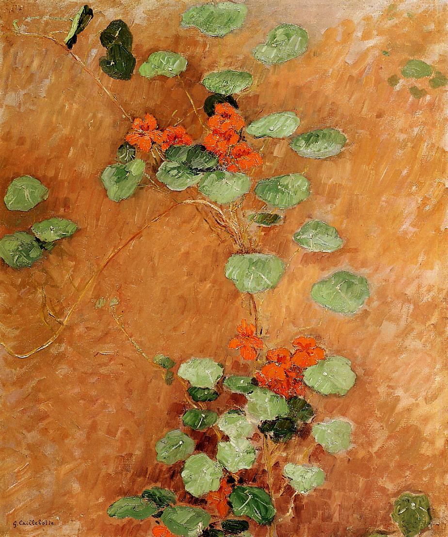 Nasturtiums (1892) - Gustave Caillebotte Tablo