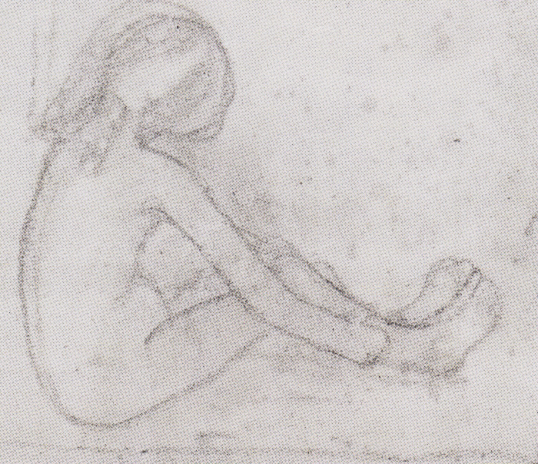 Nude girl sitting on the floor (1904) - Paula Modersohn-Becker Tablo