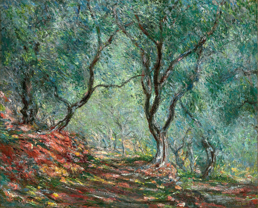 Olive Tree Wood in the Moreno Garden (1884) - Claude Monet Tablo