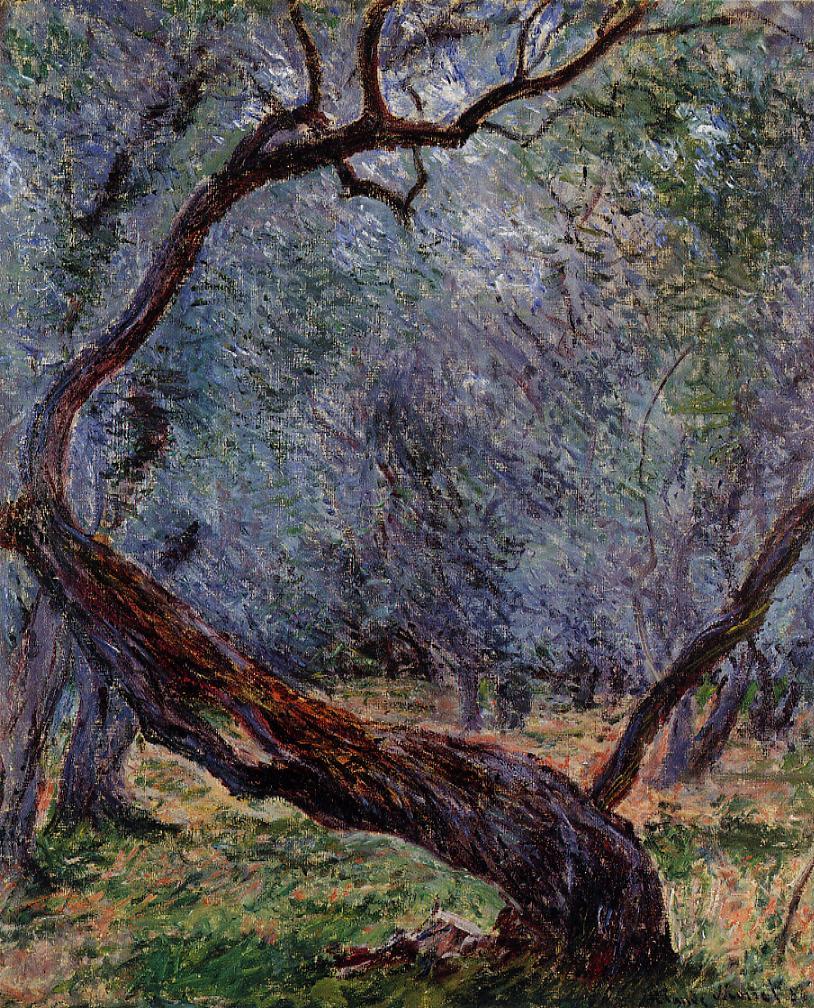 Olive Trees (Study) (1884) - Claude Monet Tablo
