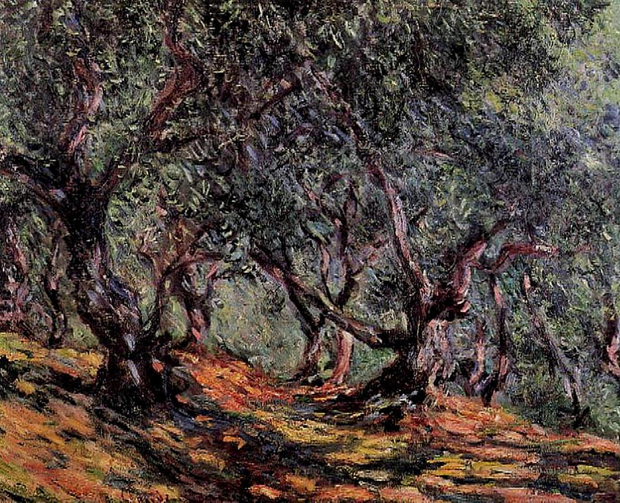 Olive Trees in Bordigher (1884) - Claude Monet Tablo