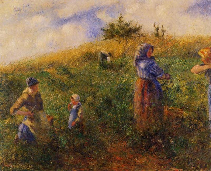 Picking Peas (1880) - Camille Pissarro Tablo