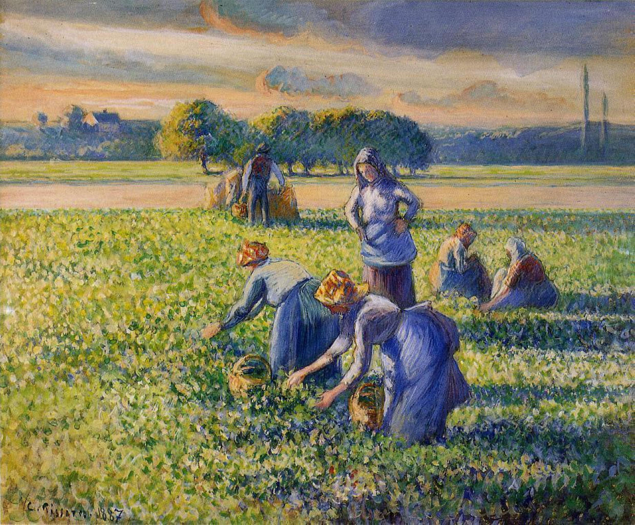 Picking Peas (1887) - Camille Pissarro Tablo