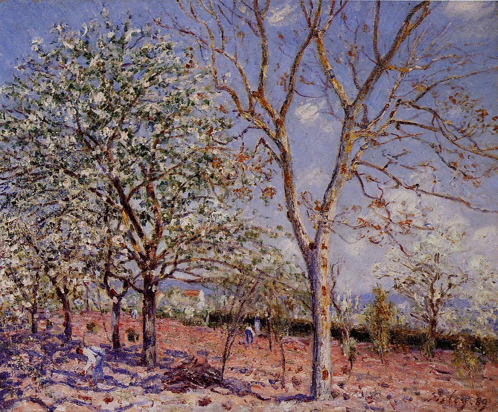 Plum and Walnut Trees in Spring (1889) - Alfred Sisley Tablo