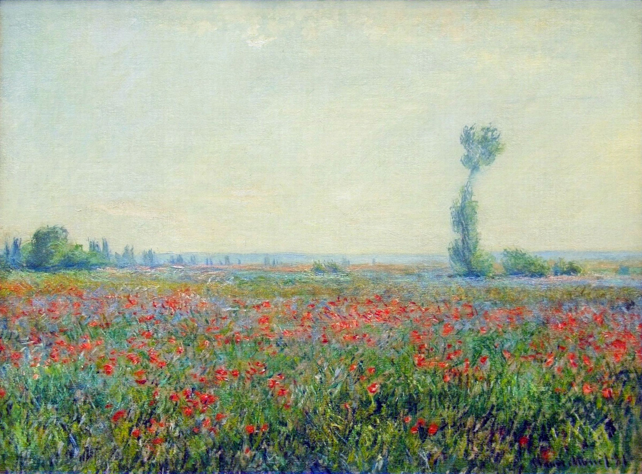 Poppy Field (1881) - Claude Monet Tablo