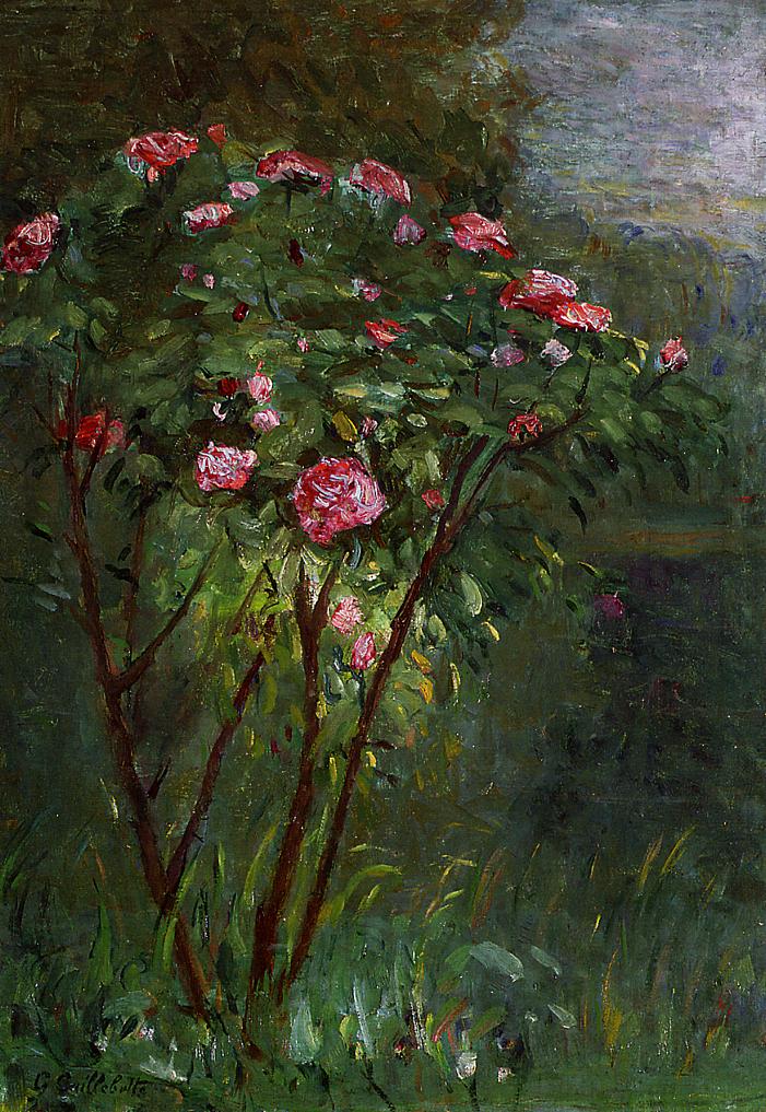 Rose Bush in Flower (1884) - Gustave Caillebotte Tablo