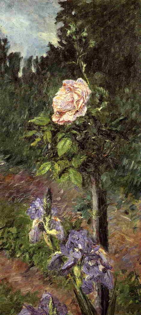 Rose with Purple Iris, Garden at Petit Gennevilliers (1892) - Gustave Caillebotte Tablo