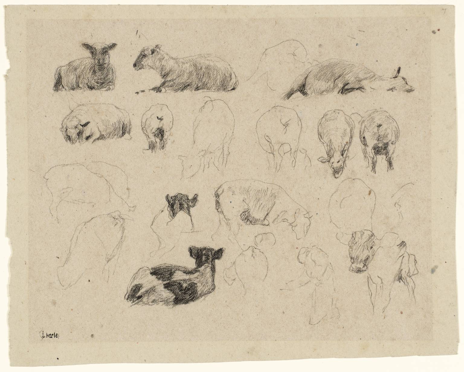 Studies of Sheep (1863) - James Charles Tablo