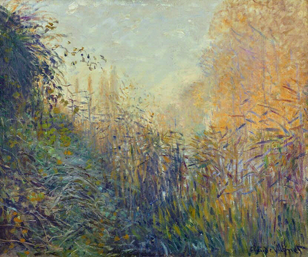 Study Rushes at Argenteuil (1876) - Claude Monet Tablo