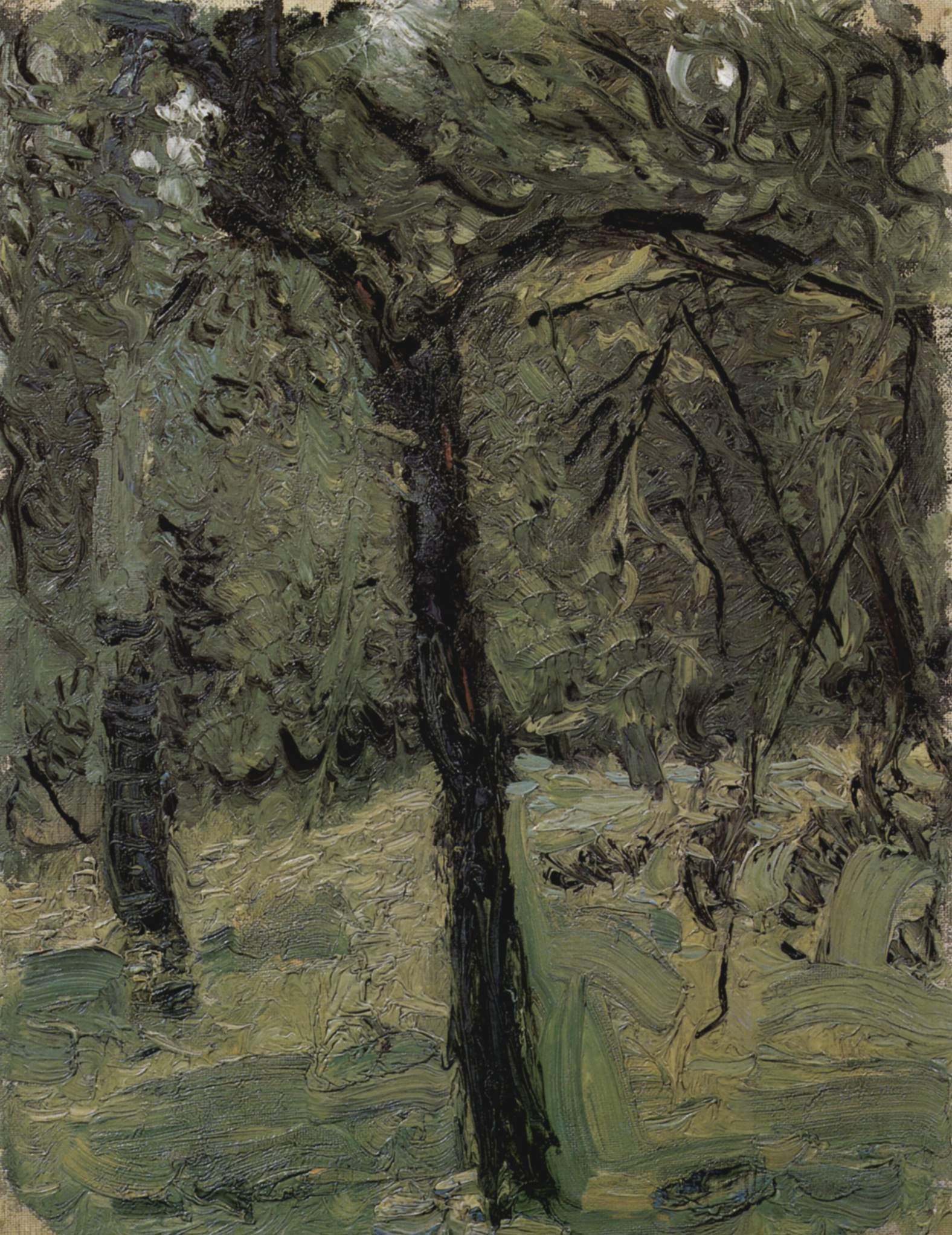 Sunny meadow with fruit trees (1908) - Richard Gerstl Tablo
