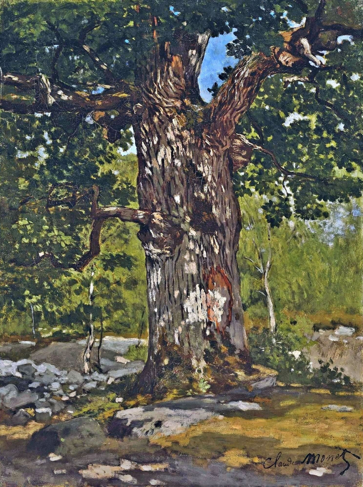 The Bodmer Oak (1865) - Claude Monet Tablo