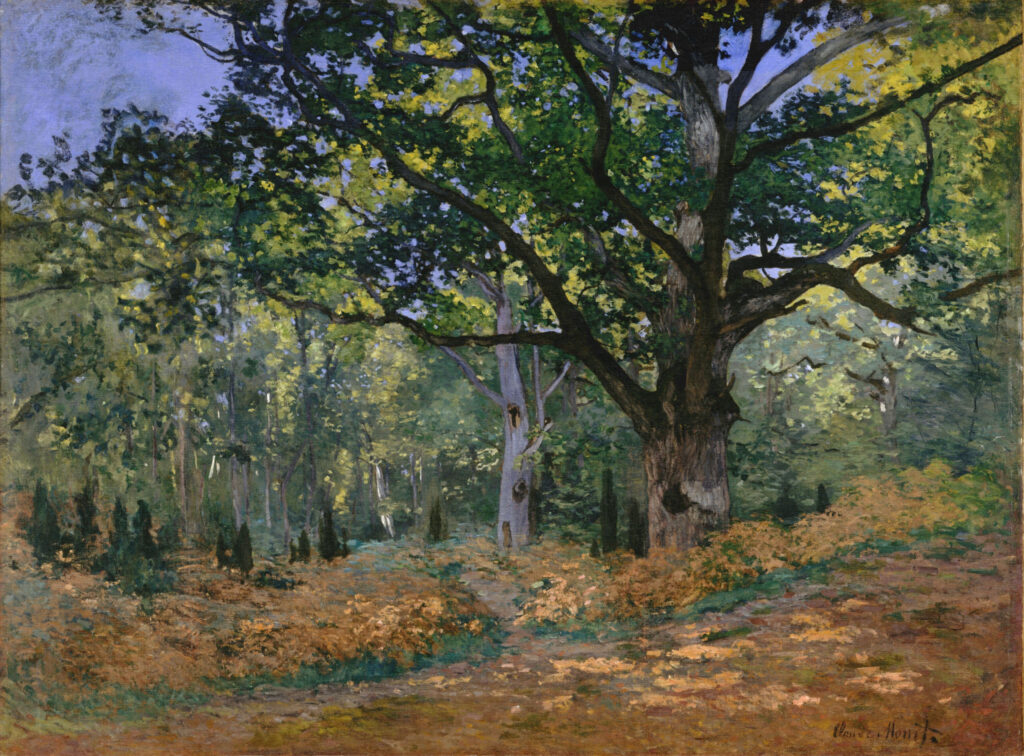 The Bodmer Oak, Fontainebleau (1865) – Claude Monet Tablo