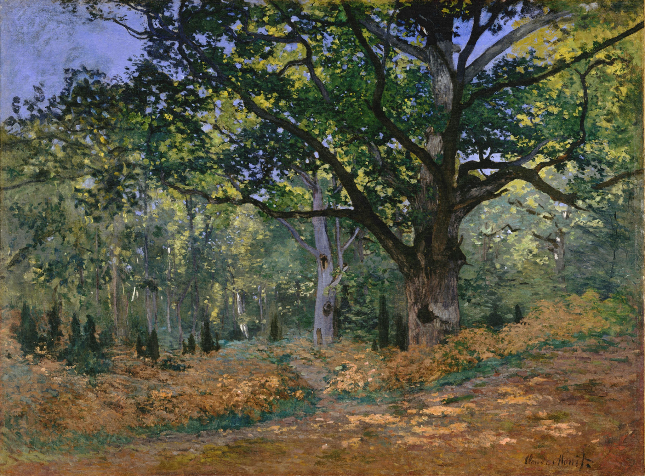 The Bodmer Oak, Fontainebleau (1865) - Claude Monet Tablo