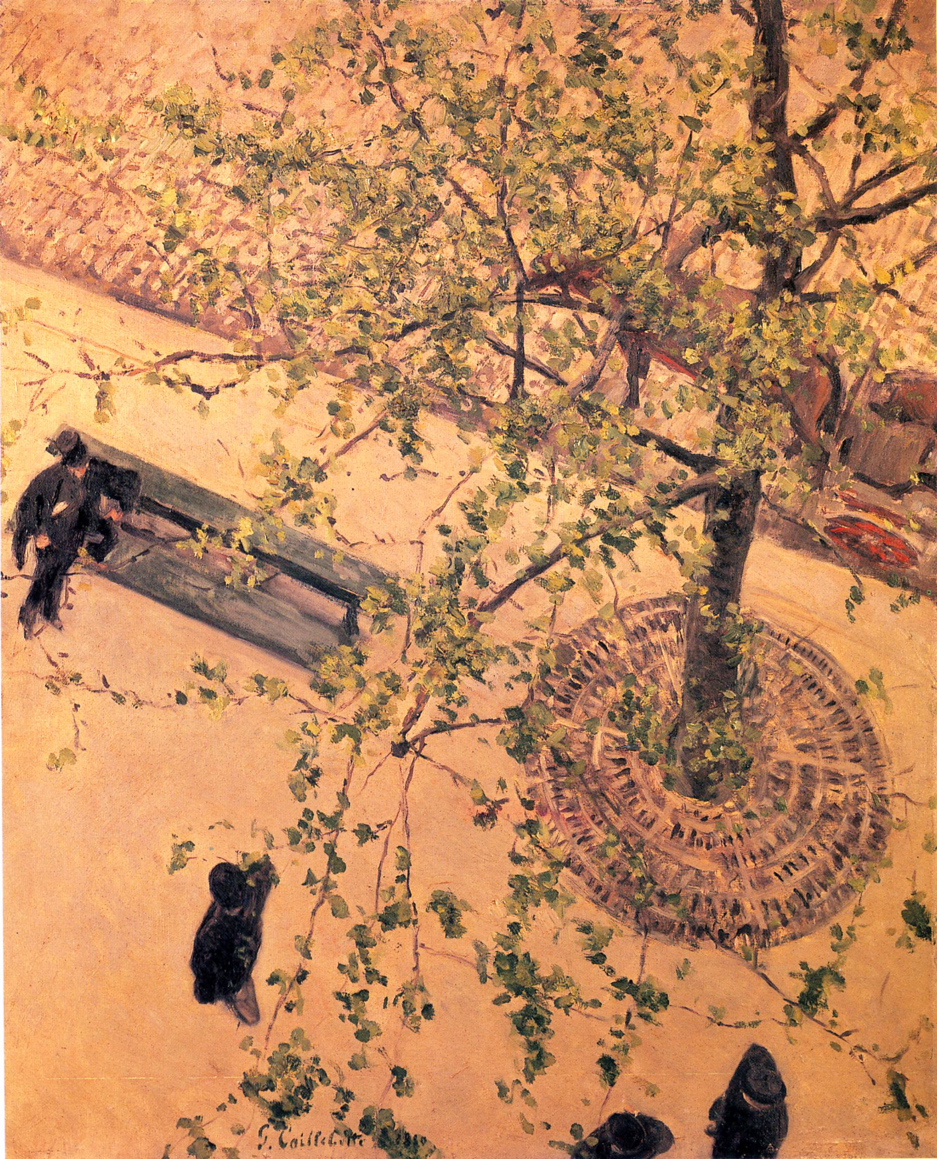 The Boulevard Viewed from Above (1880) - Gustave Caillebotte Tablo