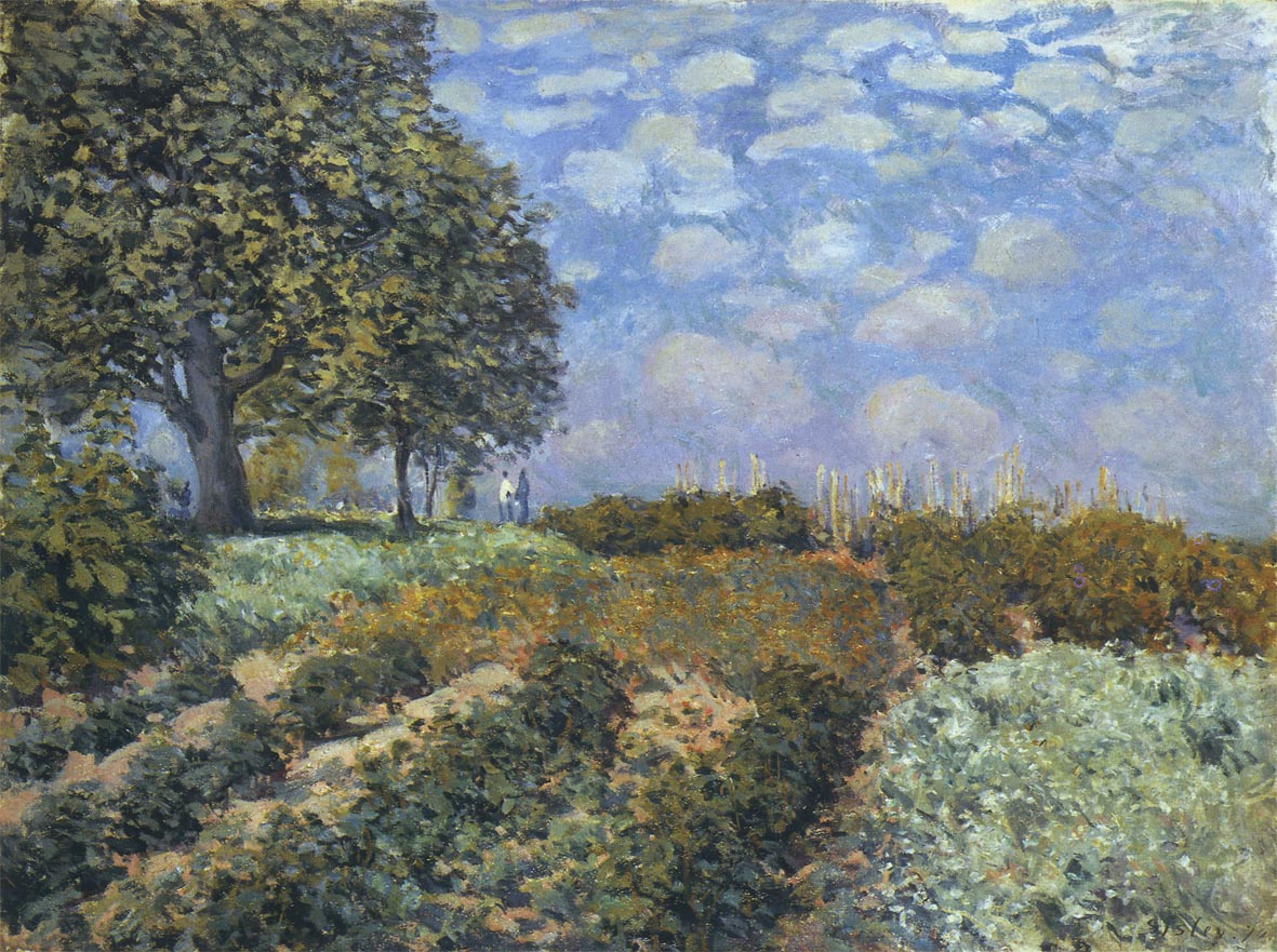 The Fields (1874) - Alfred Sisley Tablo