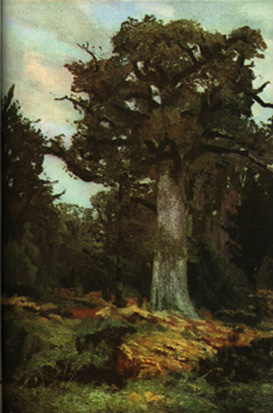 The Oak - Ion Andreescu Tablo
