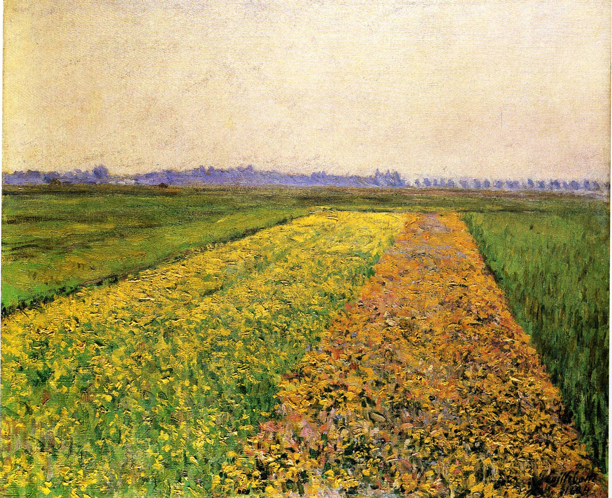 The Yellow Fields at Gennevilliers (1884) - Gustave Caillebotte Tablo
