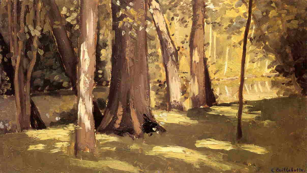 The Yerres, Effect of Ligh (1871) - Gustave Caillebotte Tablo