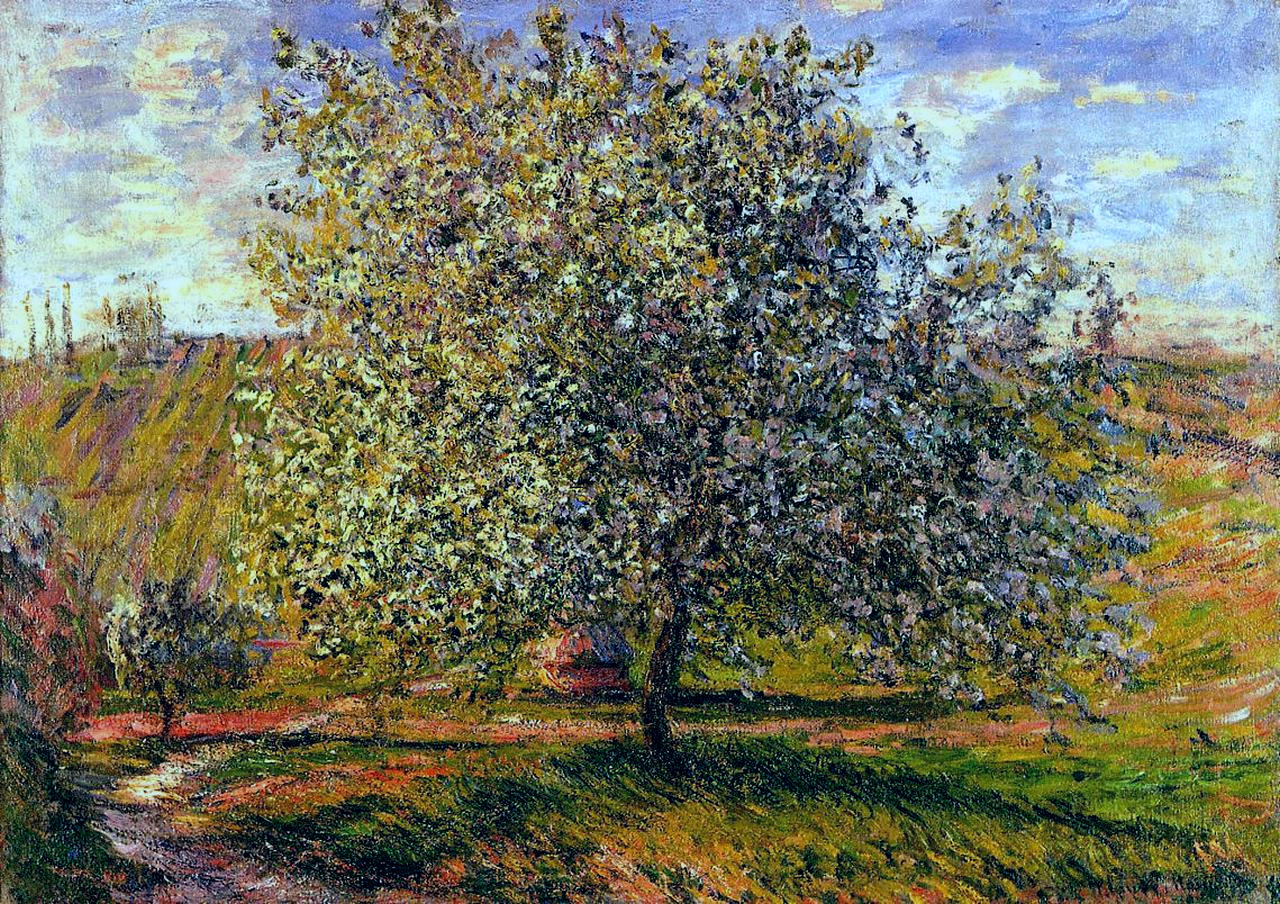 Tree in Flower near Vetheuil (1879) - Claude Monet Tablo