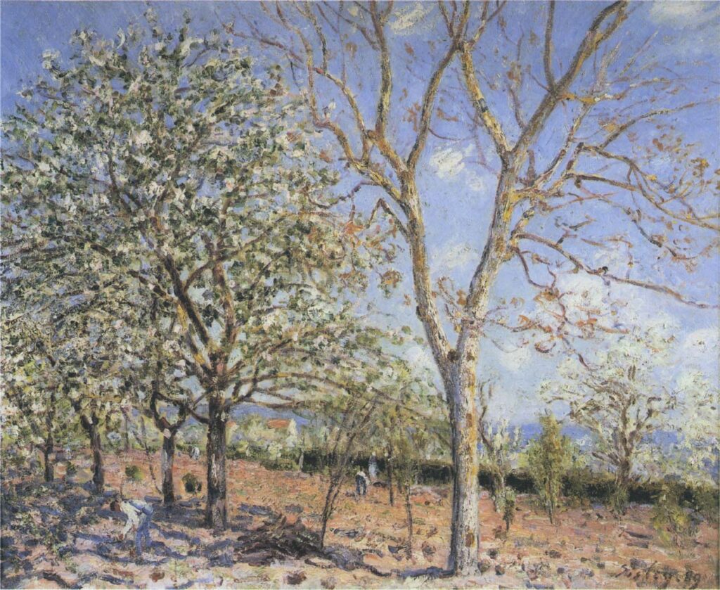 Trees in Bloom (1889) – Alfred Sisley Tablo