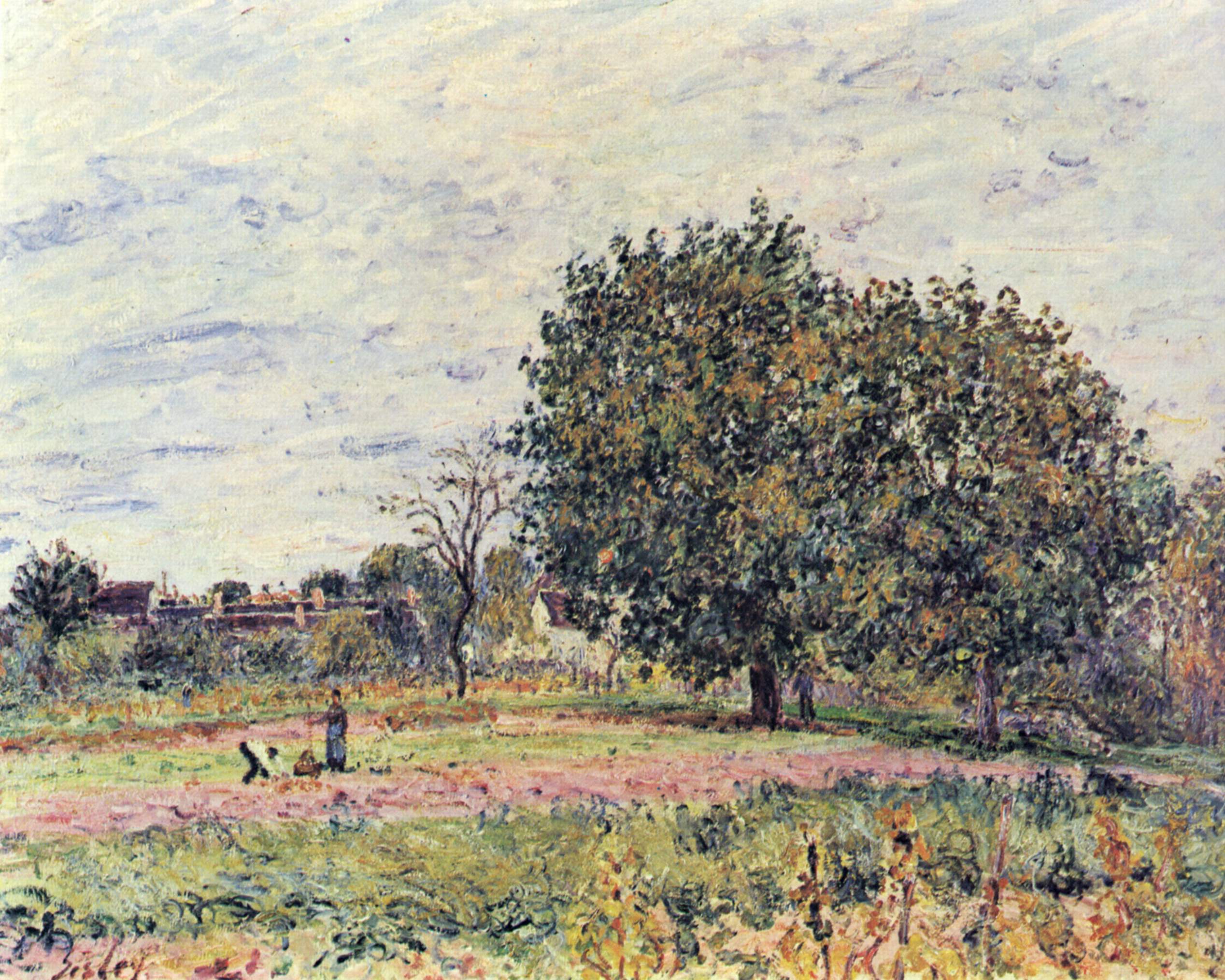 Walnut trees at sunset in early October (1882) - Alfred Sisley Tablo