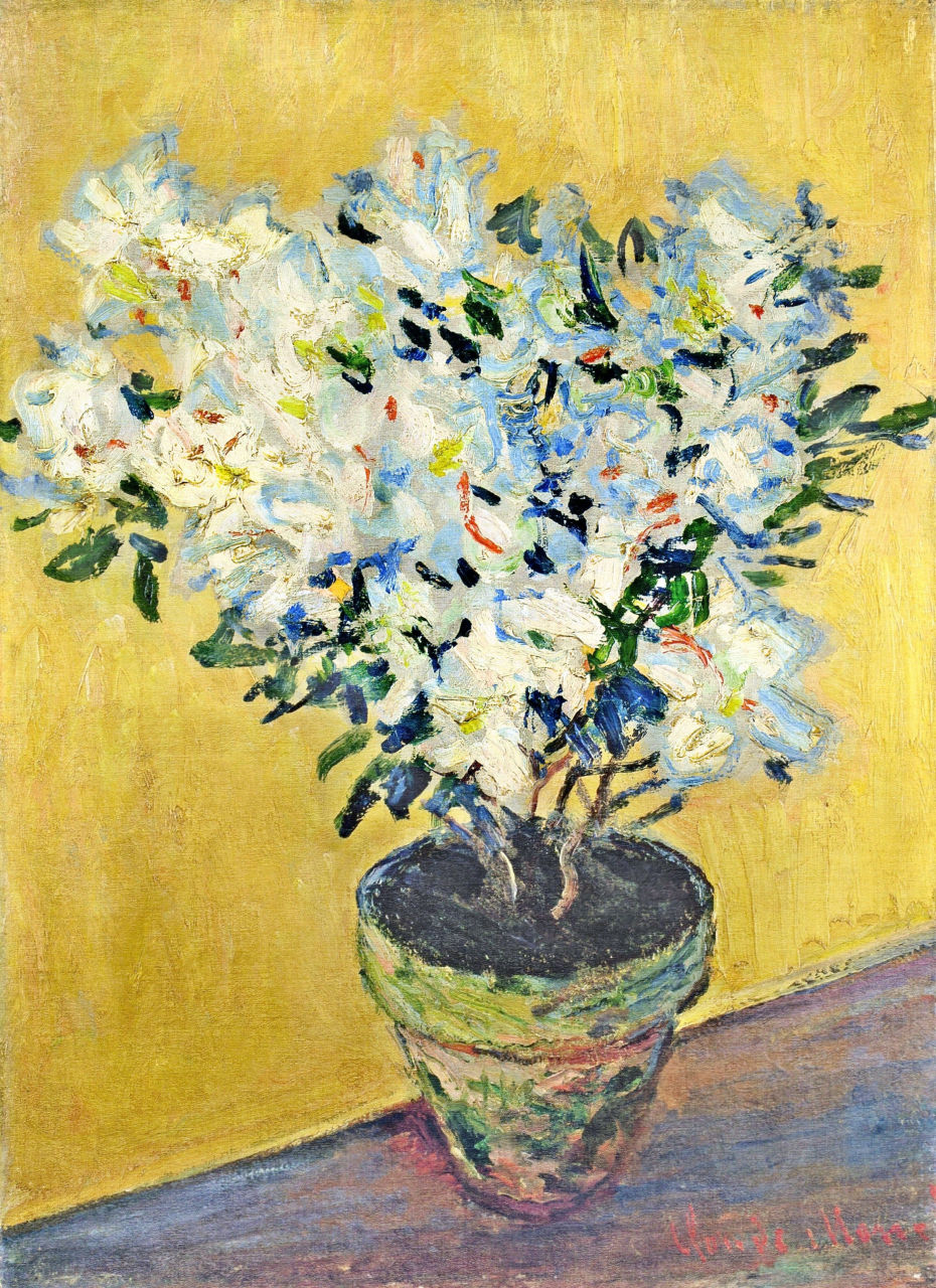 White Azaleas in a Pot (1882) - Claude Monet Tablo