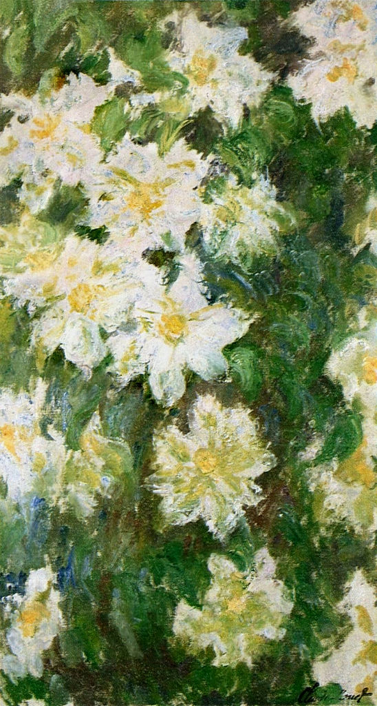 White Clematis (1887) - Claude Monet Tablo