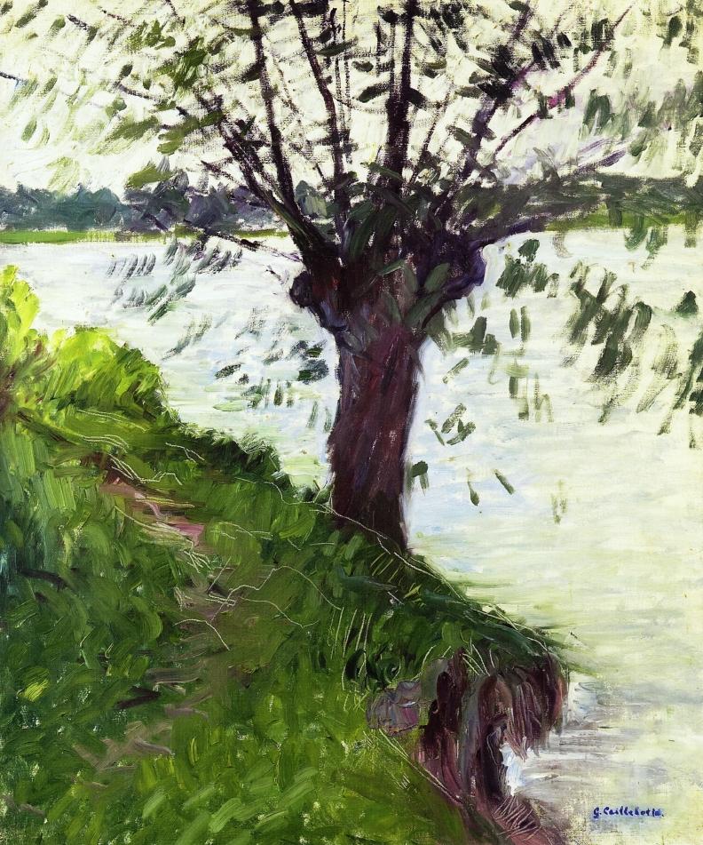 Willow on the Banks of the Seine (1891) - Gustave Caillebotte Tablo