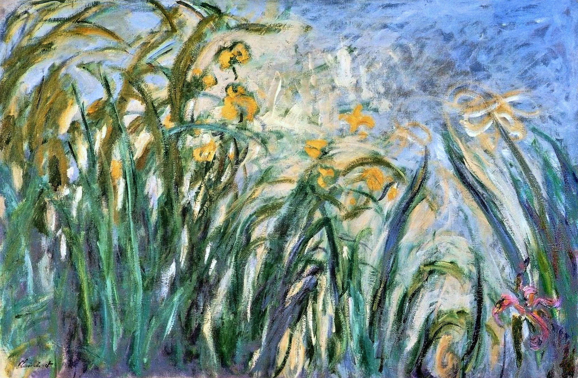 Yellow Irises and Malva (1914) - Claude Monet Tablo