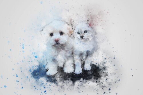 Beyaz Yavru Köpek ve Kedi Tablo