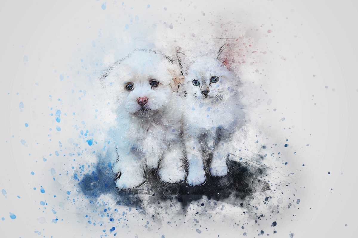 Beyaz Yavru Köpek ve Kedi Tablo