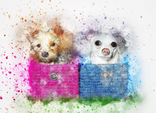 Çantalarda Küçük Köpekler Tablo
