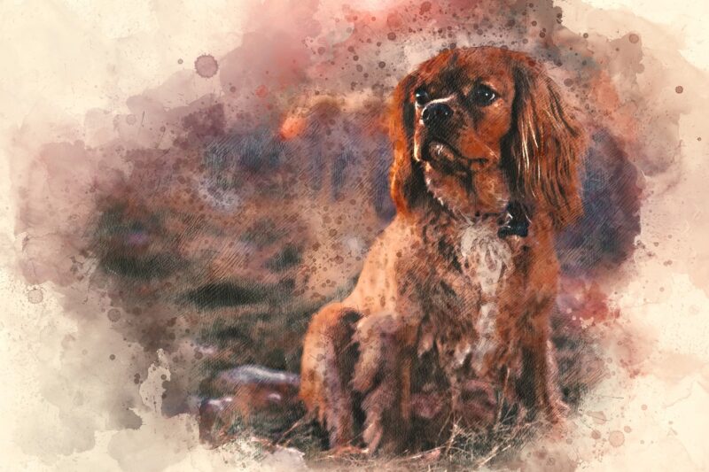 Cavalier Köpek Portresi Suluboya Tablo - kanvas ve cam tablo | Dekolata