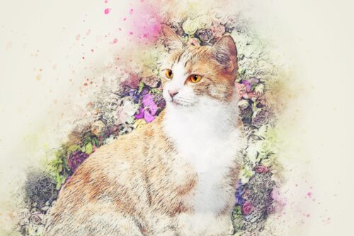 Çiçek Çelenkli Kedi Tablo