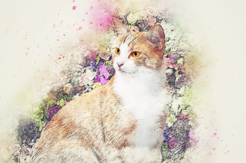 Çiçek Çelenkli Kedi Tablo - kanvas ve cam tablo | Dekolata
