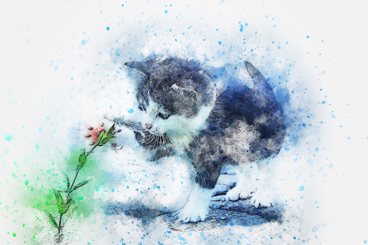 Çiçek Koklayan Kedi Tablo