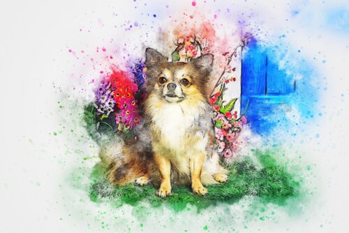 Çiçekler Arasında Chihuahua Tablo