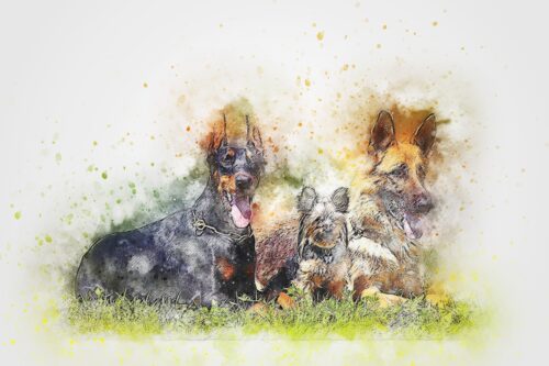 Çimenlerde Köpek Grubu Tablo
