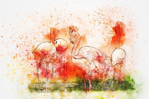 Flamingo Sürüsü Suluboya Tablo