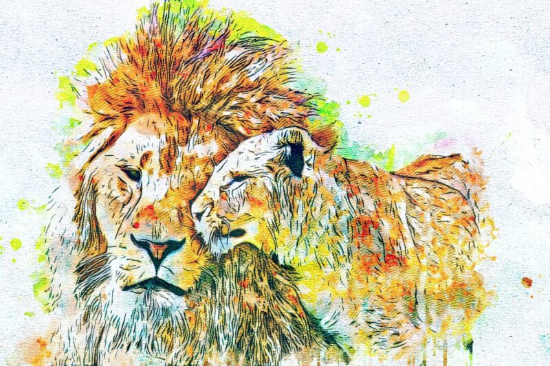 İki Aslan Renkli Suluboya Tablo - kanvas ve cam tablo | Dekolata