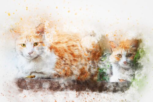 İki Kedi Yan Yana Tablo