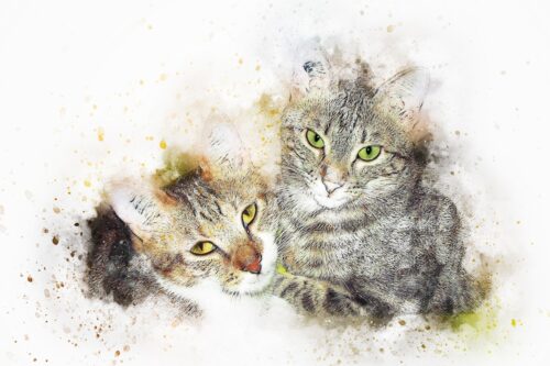 İki Tekir Kedi Birlikte Tablo