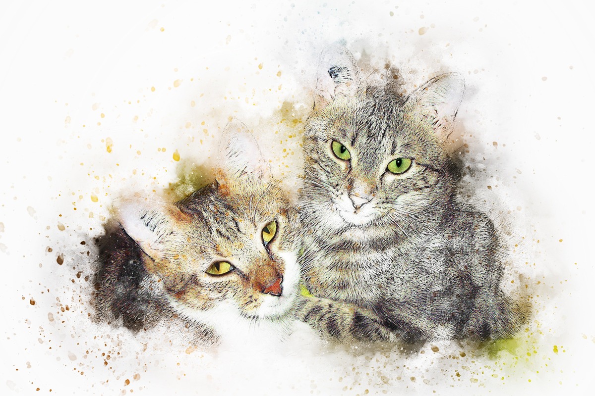İki Tekir Kedi Birlikte Tablo