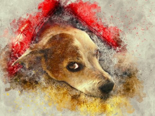 Kırmızı Çatı Altında Köpek Tablo